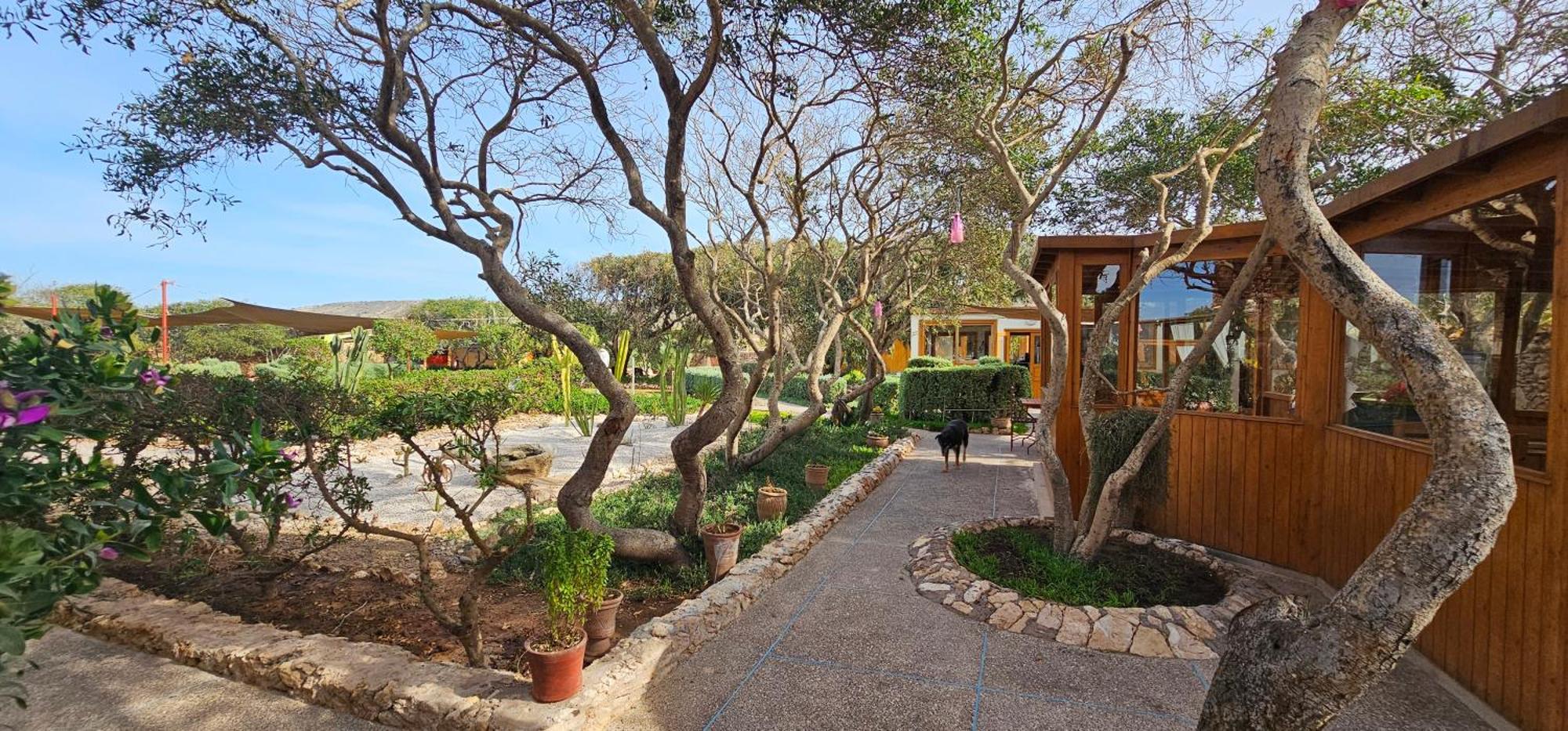 Golden Baibah Hotel Zaouia Akermoud ภายนอก รูปภาพ